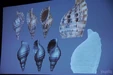 P1020774