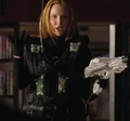 Molly C. Quinn