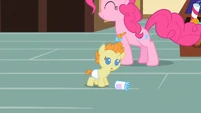 Pumpkin Cake curious S2E13