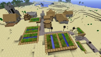 Minecraft Desert Village