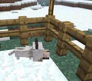 Puppy wolf mc