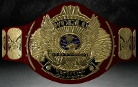 VWF Championship V3