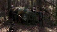 Twd316-001601