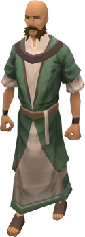 Druid (TWW)