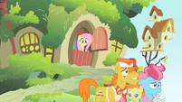 Fluttershy you understand S2E13