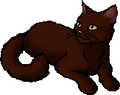 Oakheart.star