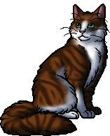 Beetlewhisker.warrior
