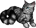 Feathertail.star