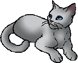 Willowpelt.star