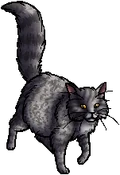 Willowbreeze.queen