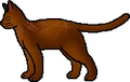Antpelt.rogue