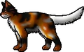 Mapleshade.rogue.png