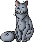 Mistystar.leader