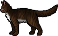 Hawkfrost.rogue