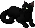 Hollyleaf.star