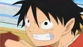 LuffyRuns(D9)