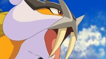 P13 Raikou brillante