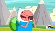 Finn134