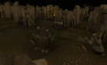 Well in the undergound pass.png