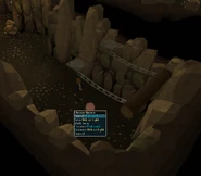 Log trap