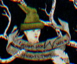 Licorus
