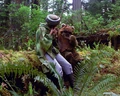 Leia Wicket.png