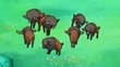 EP764 Bouffalant salvajes
