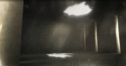 ACR DLC-3-hallucination