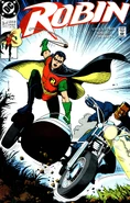 Robin v.1 3