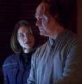 Cutler and Phlox.jpg