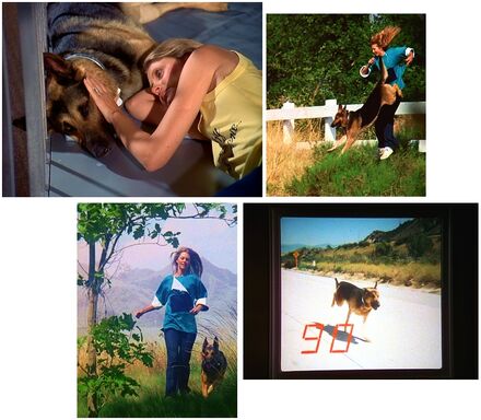 The Bionic Dog Sequence