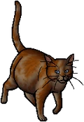 Daisytail.queen