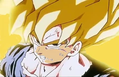 GokuSSJ