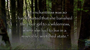 Quote 107