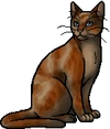 Daisytail.warrior