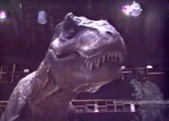 Rexystaring