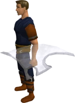 Spirit shield equipped