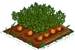 Carrot 100