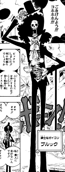 Brook Manga Pre Timeskip Infobox