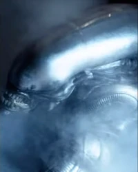 The Alien 1979