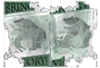 FNV NCR Graffiti