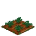 Lokelani 33