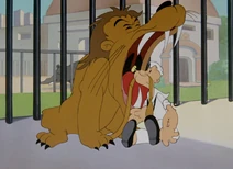 Popeye-lion