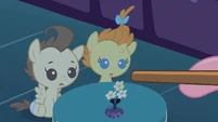 Pound & Pumpkin Cake okay weird S2E13