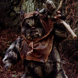 Graak