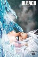 Bleach Vol. 25 Cover