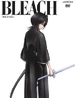 Bleach Vol. 28 Cover