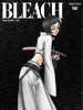 Bleach Vol. 33 Cover