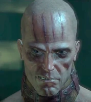 V. Zsasz