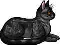 Webfoot.elder